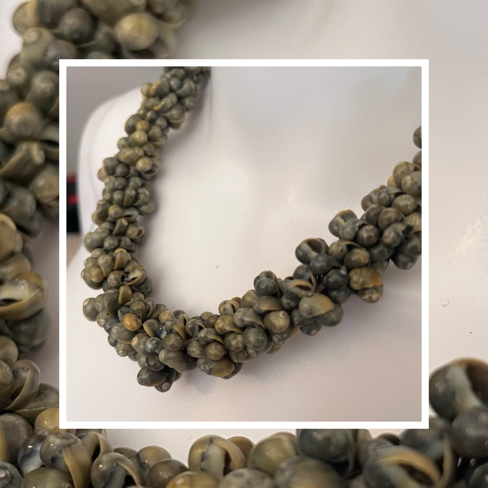 #5 Shell Necklace